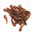 25 4x18mm Golden Topaz Lustre Glass Claw Beads
